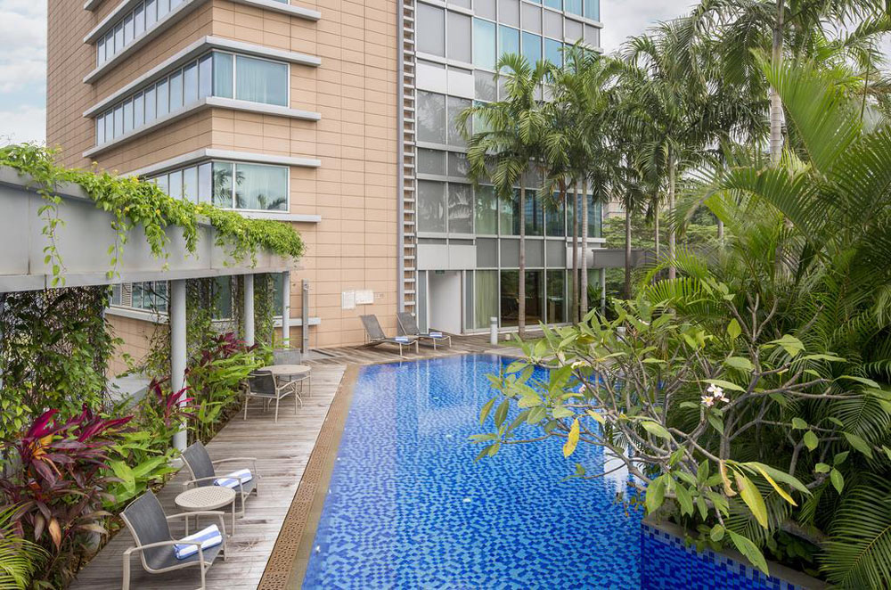 Park Avenue Rochester