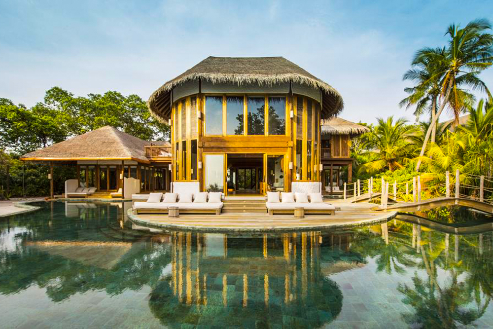 سونيفا فوشي