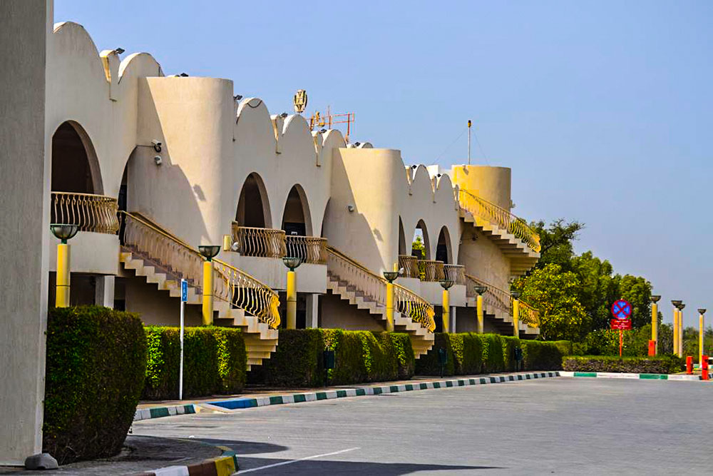  توليب إن الشريعة