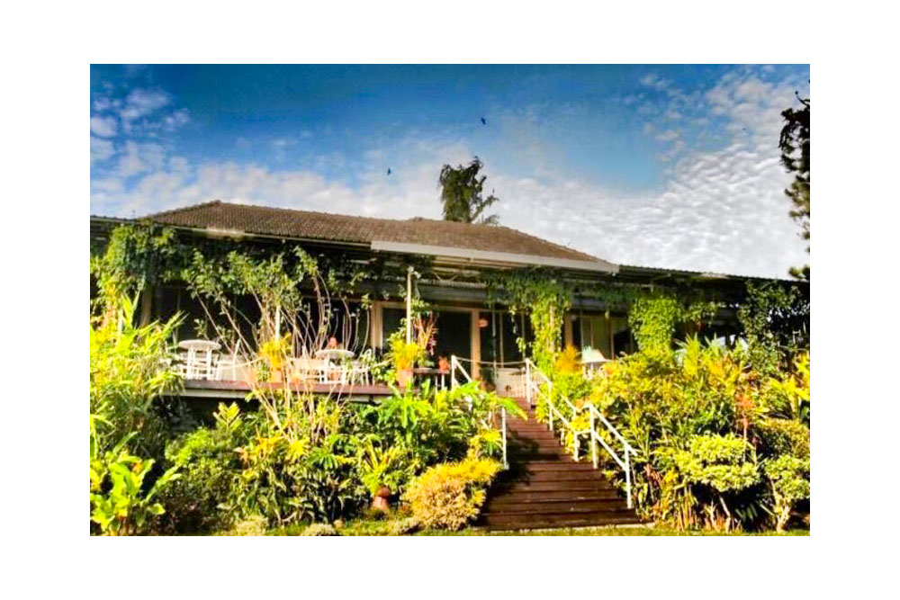 فندق بيلفو ذا بينانج هيل