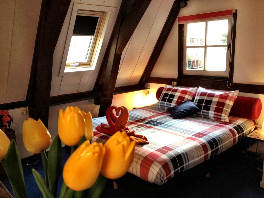 مبيت وإفطار تيوليب أوف أمستردام