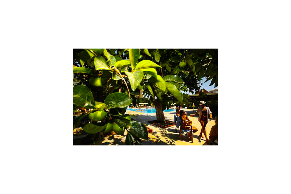 flyin.com
