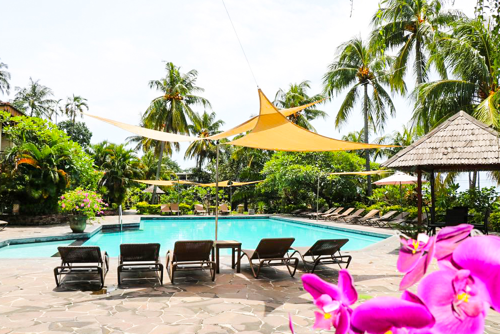 بوري بونغا بيتش كوتدجز