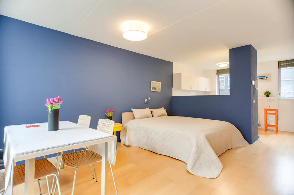  شقق بلانتيدج  - أرتيس زو إريا