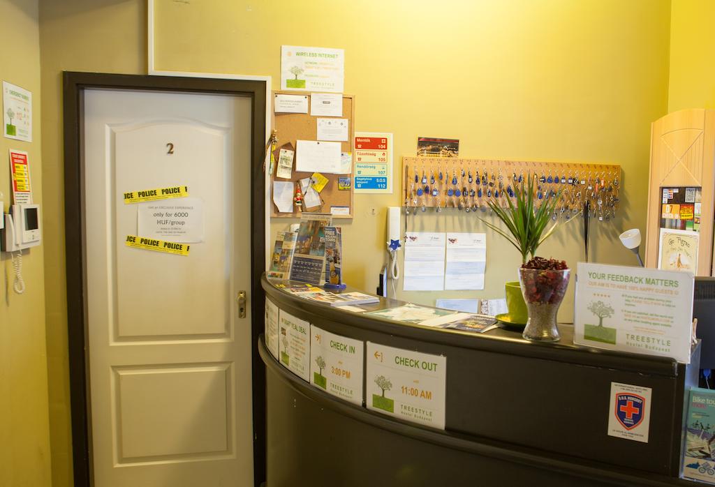 بيت شباب تري ستيل 