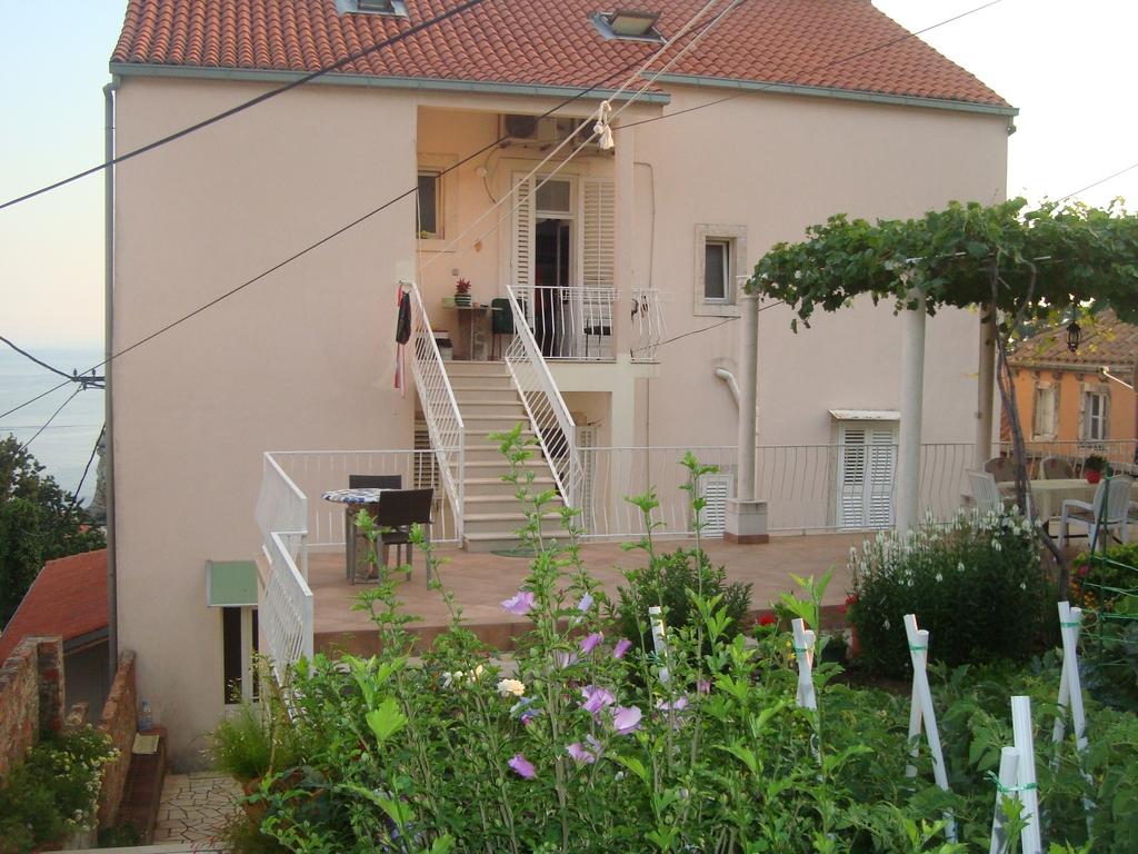 Guesthouse Rina - Old Town