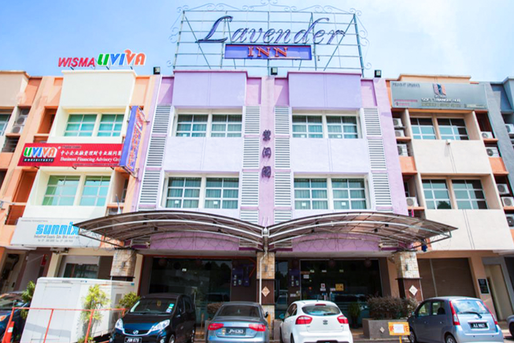 لافندر إن بيرماس