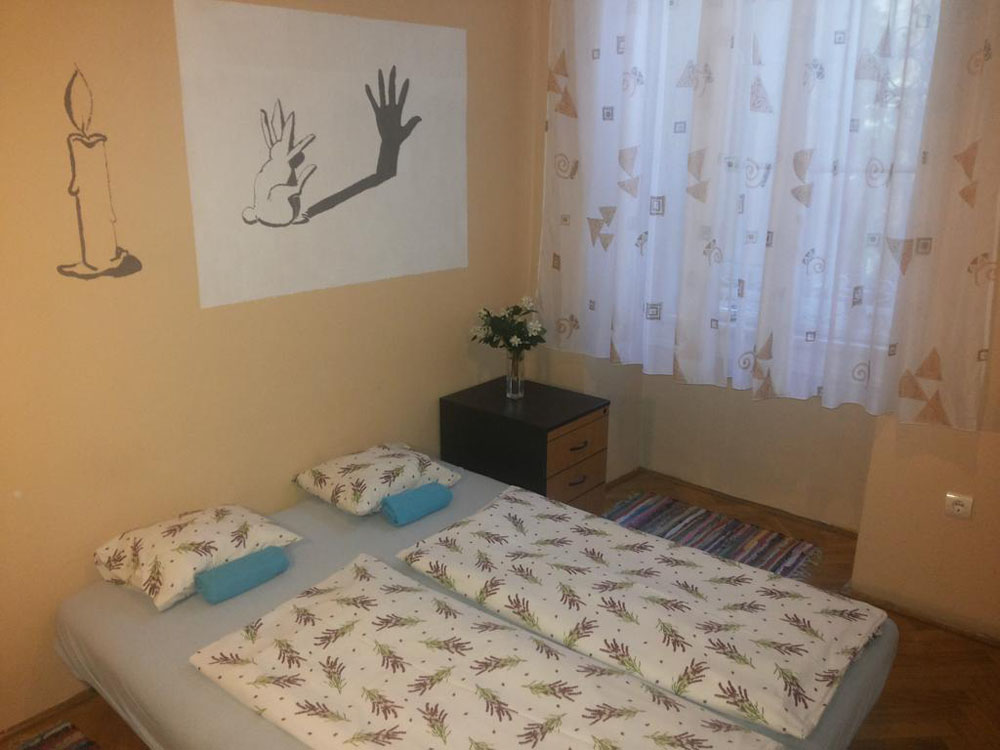  بيت شباب وايت رابيت 