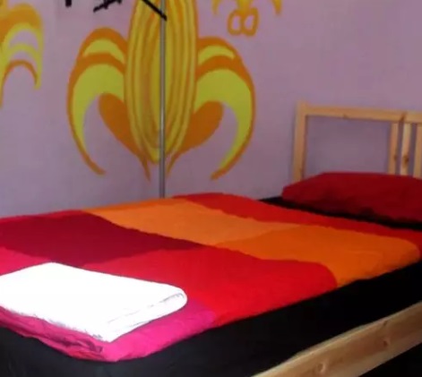 بيت الشباب ناتي دوج