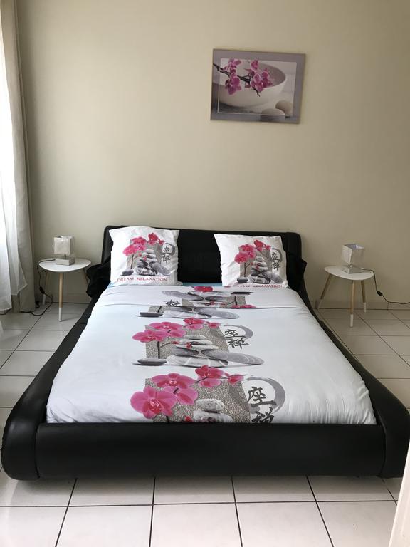 ستوديو أون بلان كوغ دو لافي غوز 