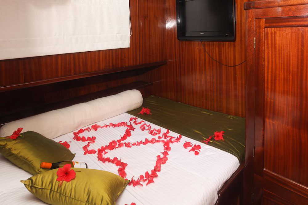 دريم فوياجر