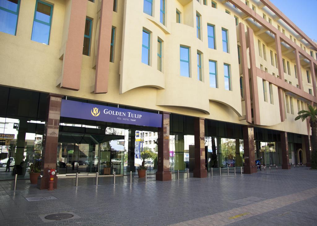 جولدن تيوليب تغات فاس