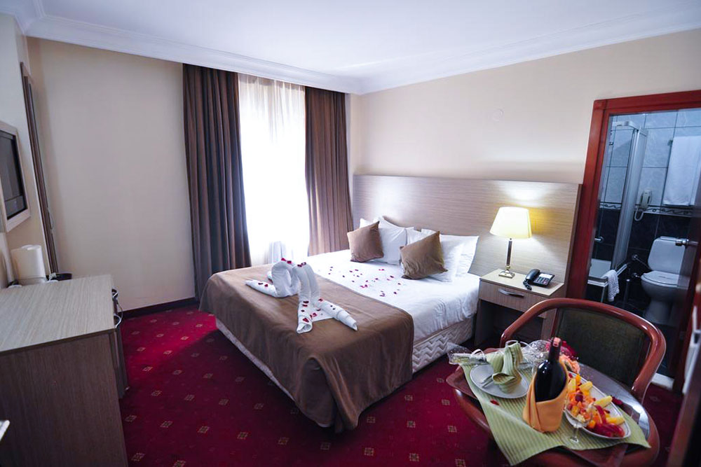 Hotel Büyük Sahinler