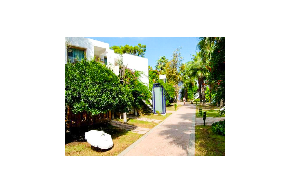 كلوب فاسيليس