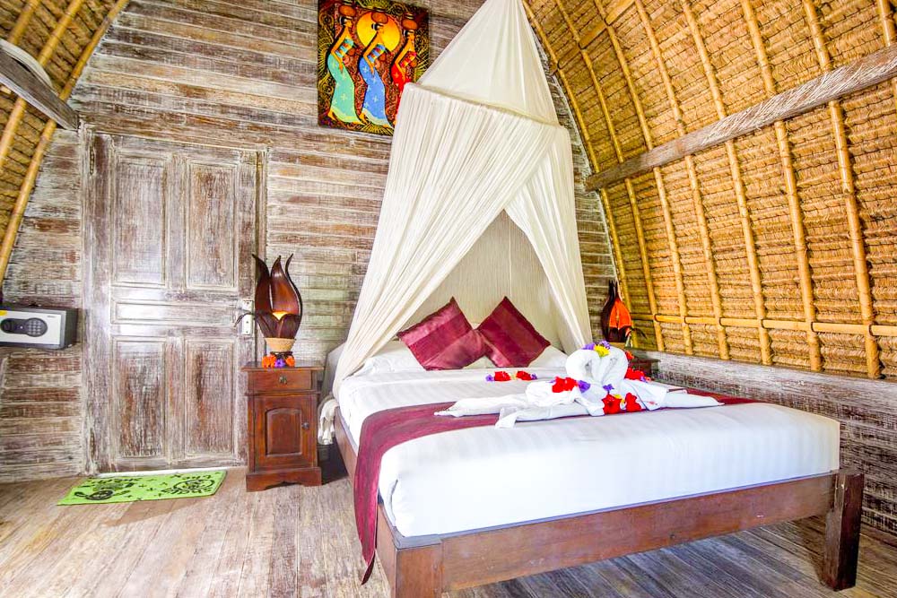 مشروم بيتش بنجالوز