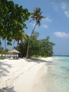 فاريتي ستاي مالديف غيست هاوس