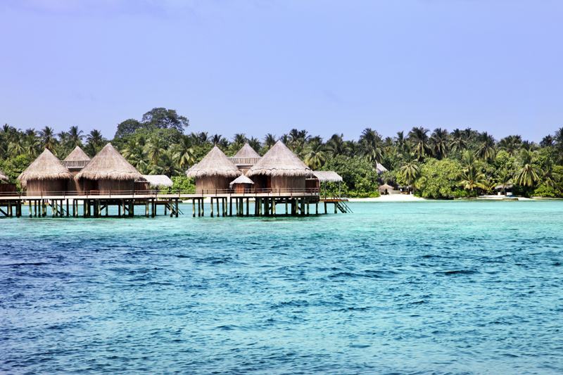 منتجع وسبا نيكا ايلاند