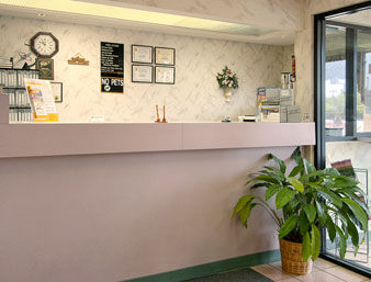 Super 8 by Wyndham Byron/South Macon