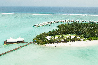 سينامون هاكورا هورا المالديف