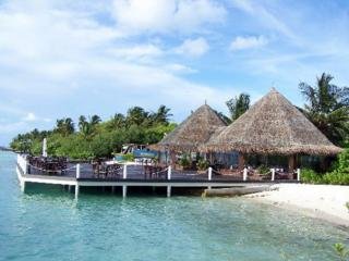 اداران سيليكت هودورانفوشي