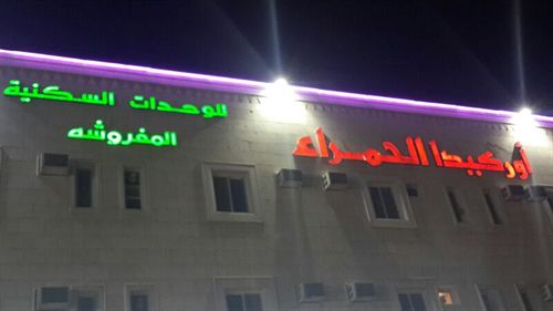 أوركيد الغرابي 