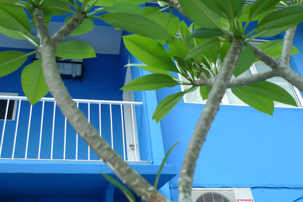 بيت ضيافة صاحبات