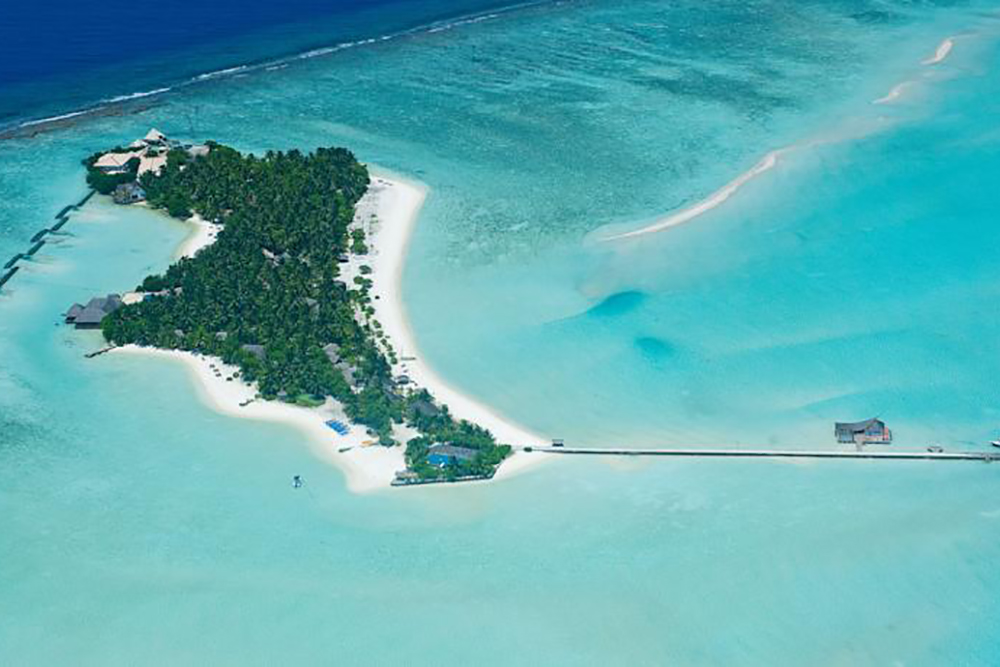 ريهيفيلي ذا دريم