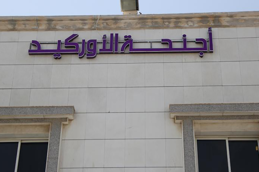 أجنحة أوركيد 