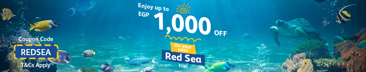 red-sea-offer