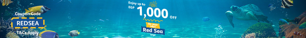 Red sea offer